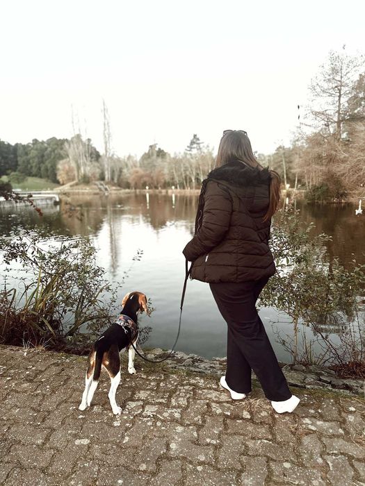 Daniela Petsitter | Cuidadora de cães e gatos