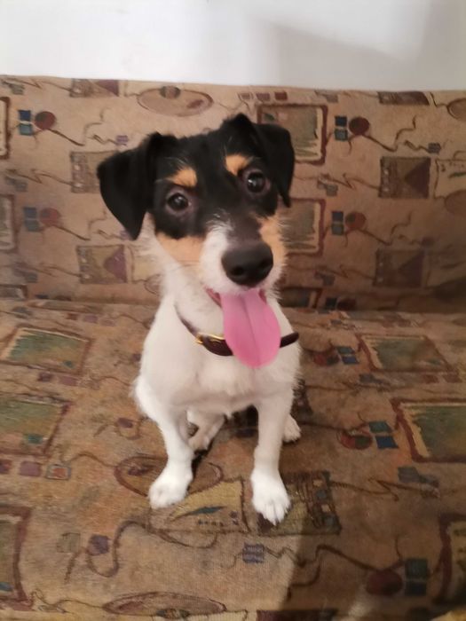 Помощь переселенцам в передержке.