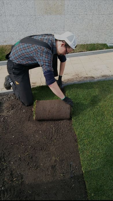 Аерація#скарифікація#ПокісТрави#ОбрізкаДерев#Аерація#ВесняніРоботигазо