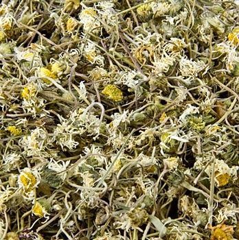 Stokrotka kwiat ( Bellis perennis ) suszony 100 g