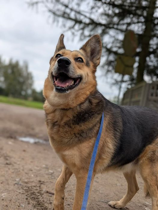 Najwspanialsza Bletka szuka domu