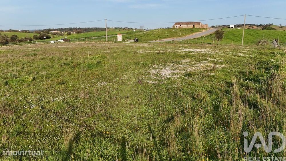 Terreno em Garvão e Santa Luzia