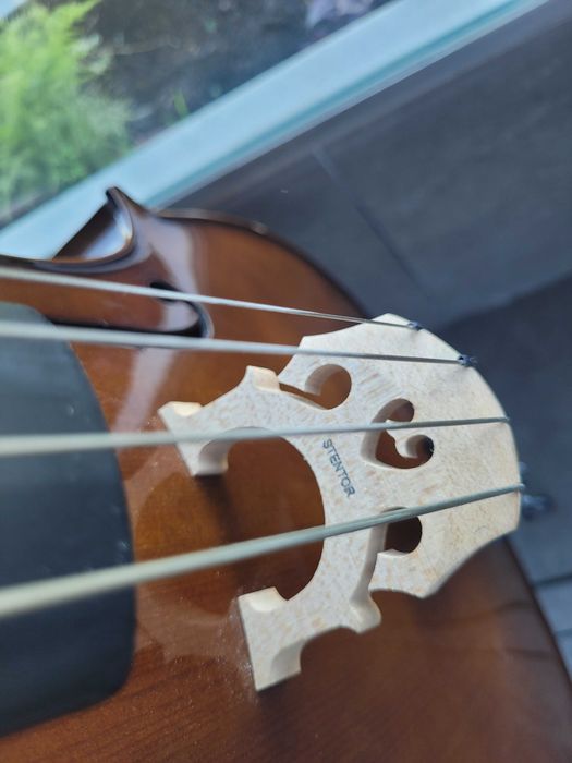 Violoncelo Stentor 1/4