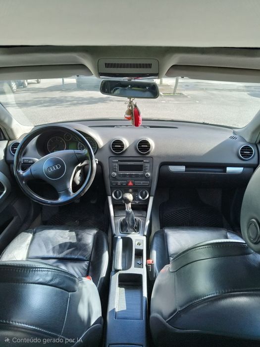 Audi A3 8P 2.0 TDI
