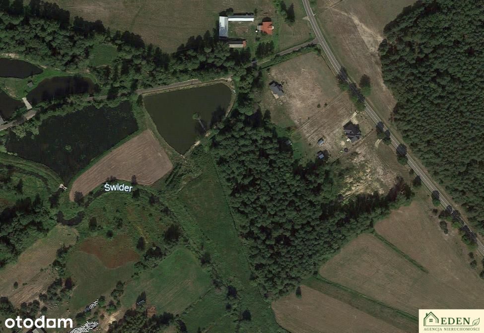 Działki inwestycyjne przy DW803ze stawem Zgórznica - Widok 6