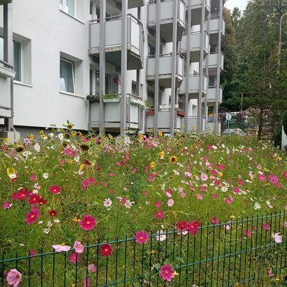 Mała kawalerka z widokiem na morze