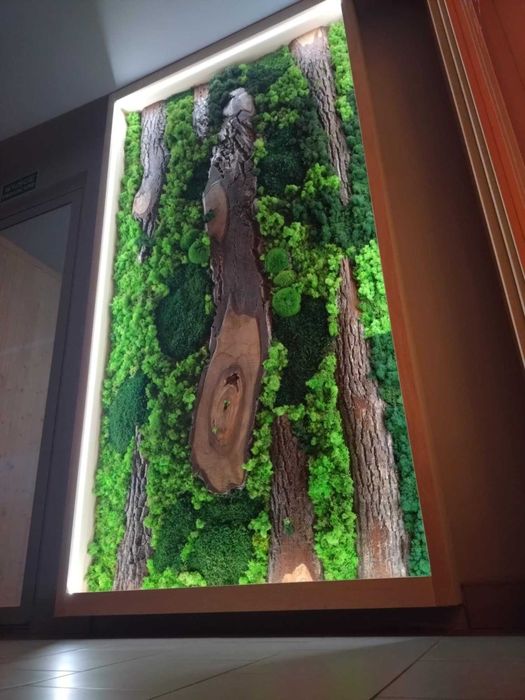 Dekoracyjne zielone ściany z chrobotka i drewna, oświetlenie LED