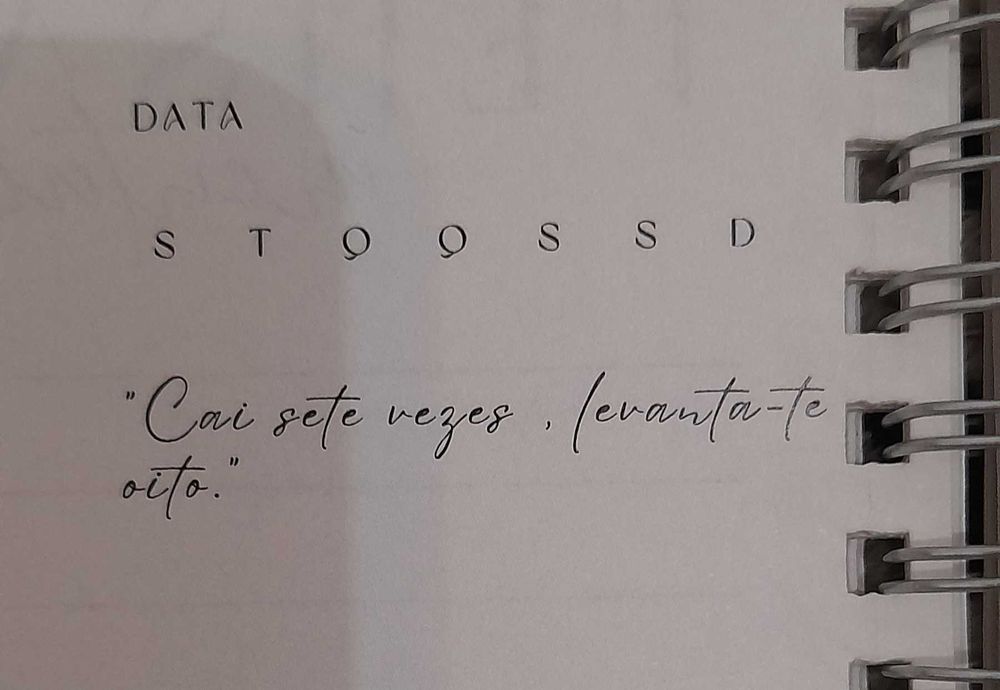 Caderno da Gratidão