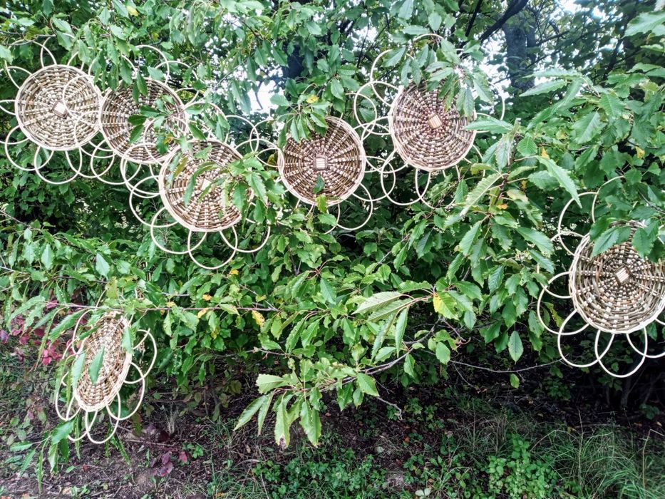 Віночки-основи для композицій