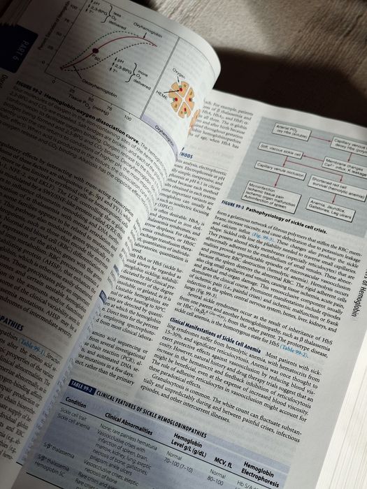 Grande livro de medicina interna. Em inglês