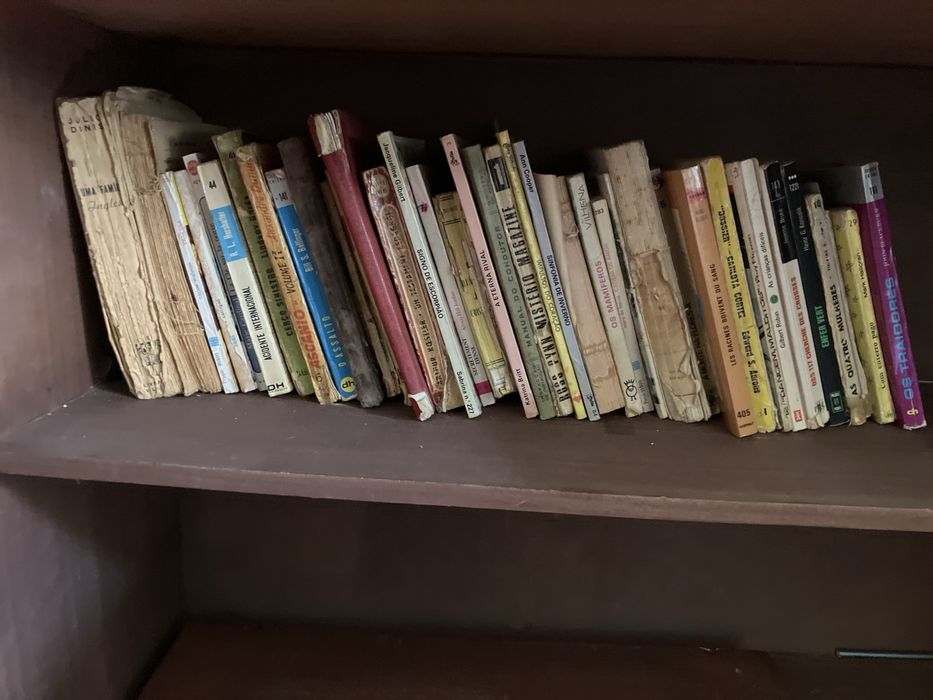 Conjunto de livros, dicionarios, enciclopedias