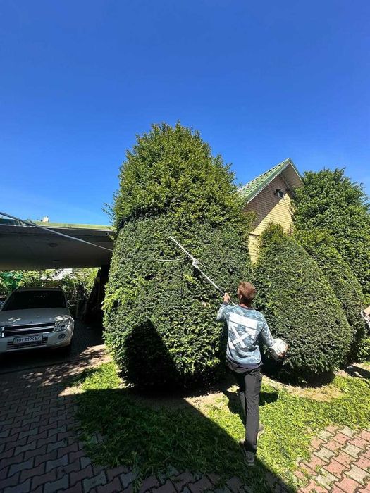 Садовник стрижка обрезка уборка осенью