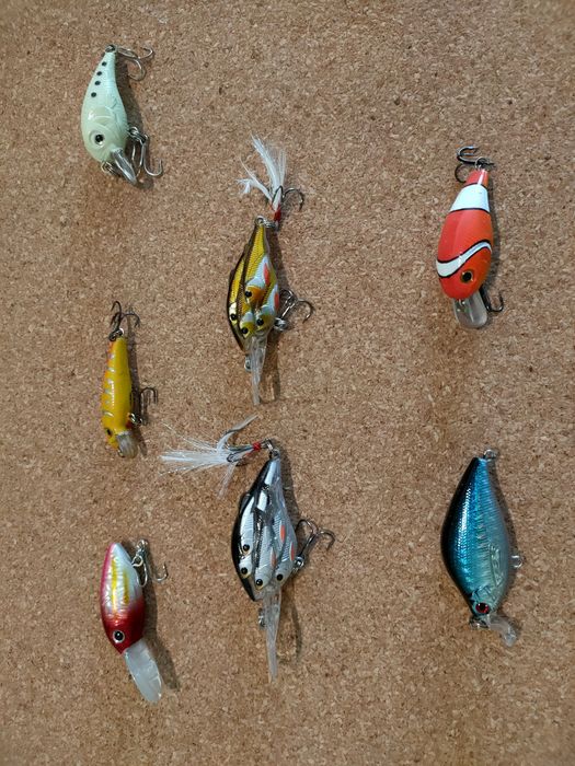 Amostra para pesca