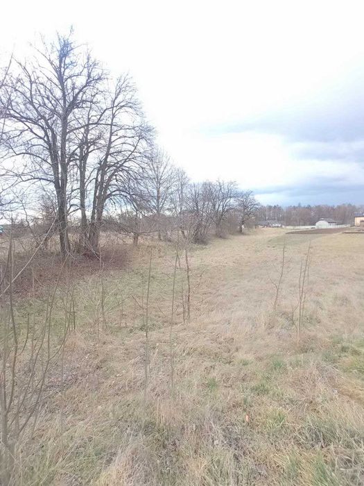 Земельна ділянка попри дорогу.