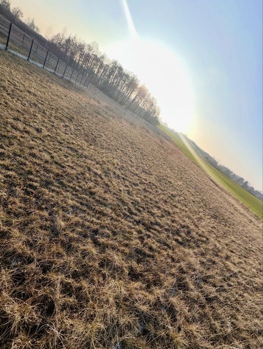 Działka budowlana nad jeziorem blisko miasta z warunkami zabudowy i mediami - Widok 2