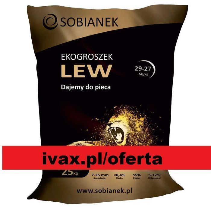 Groszek Lew Sobianek PROMOCJA transport gratis