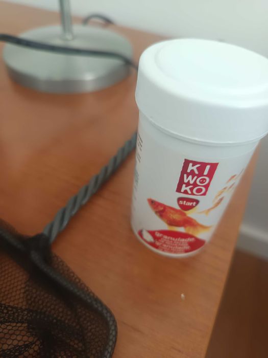 Aquário água fria para um peixe