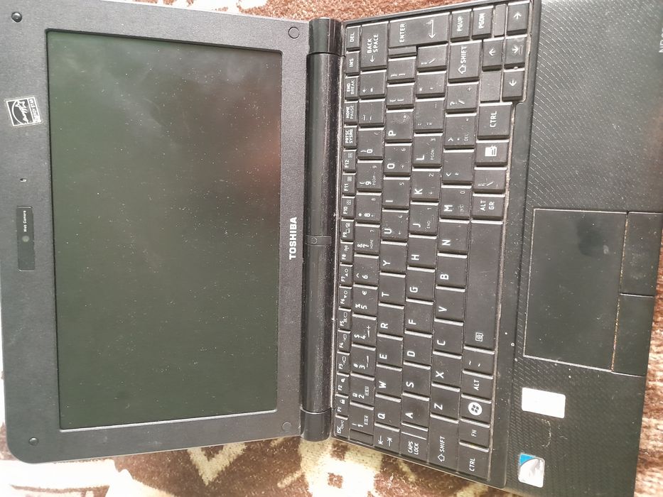 Netbook Toshiba n8.250-101