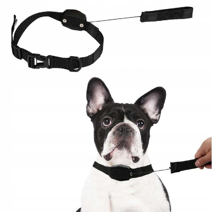 Obroża dla psa z automatyczną smyczą 2w1 S/M 35 cm