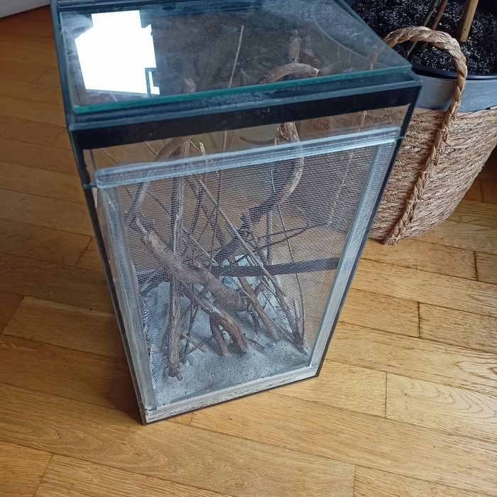 Terrarium  z siatką