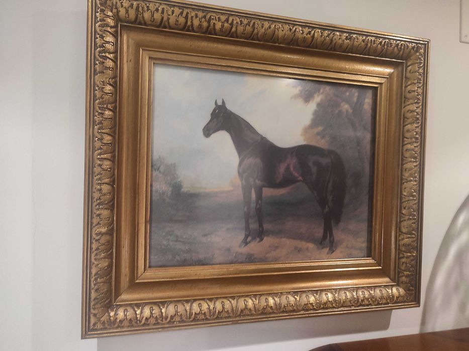 Quadros com cavalos. Conjunto de dois quadros com cavalo negro e castanho