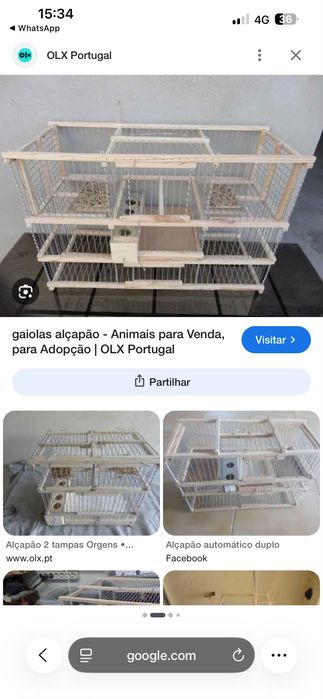 Alçapão automatico