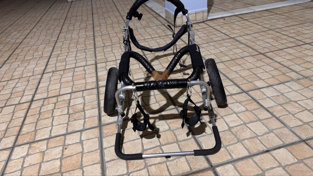 Cadeira de rodas para cão