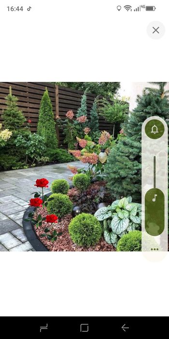 Посів газону, створення декоративних клумб,за акційною ціною -30%