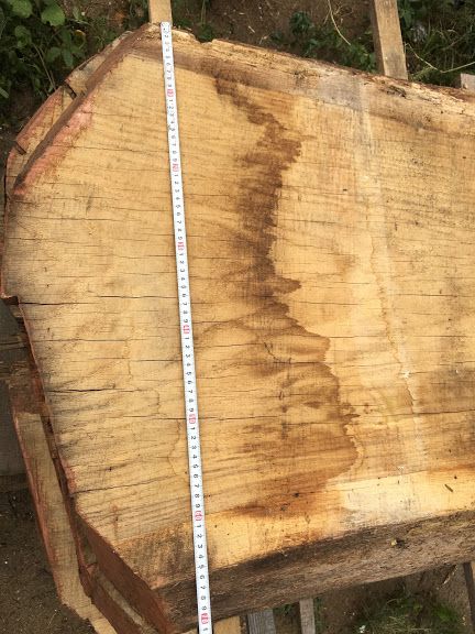 Слеб Дуб, сляб, масив , дошка дуба