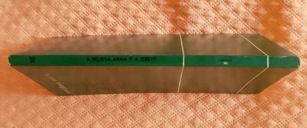 A nossa arma é a greve, Franz Mehring, Rosa Luxemburgo