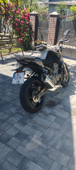 GEON stinger 250
