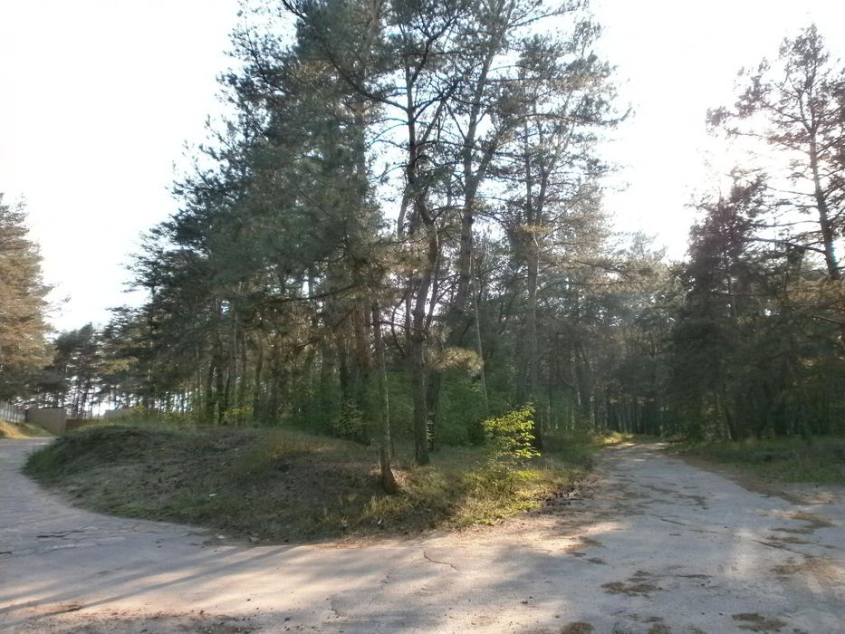 Земельна ділянка в с. Розумівка, під заміський клуб та ін.