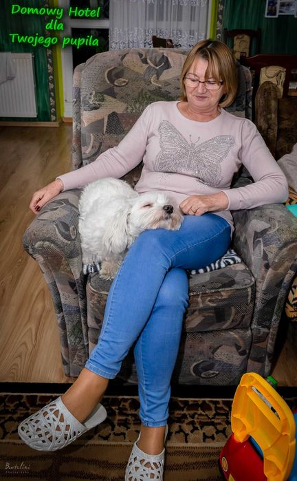 Domowy hotel dla psa - Świebodzin