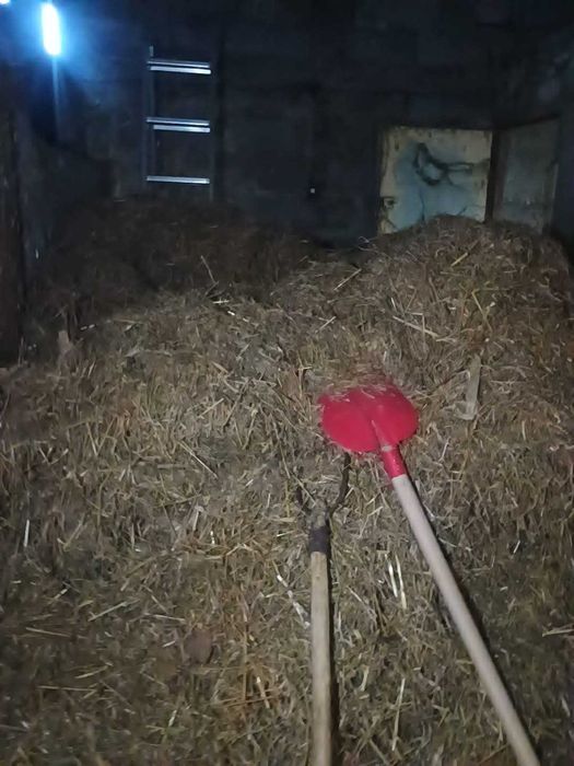Siano albo słoma