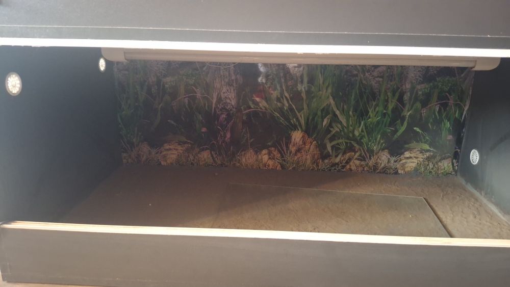 Terrarium z oświetleniem