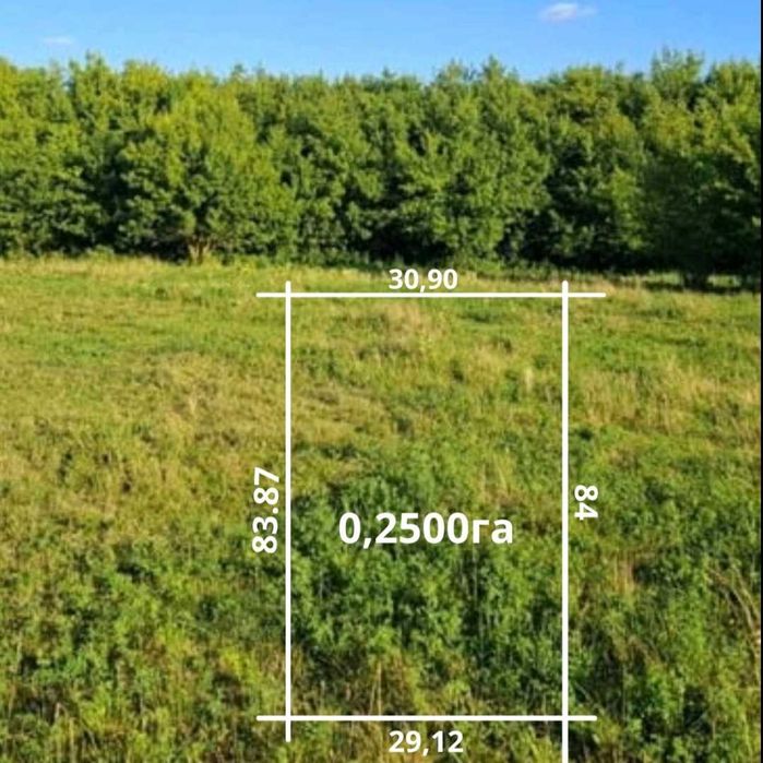 Земельна ділянка під будівництво в селі Княжичі Бучанського району