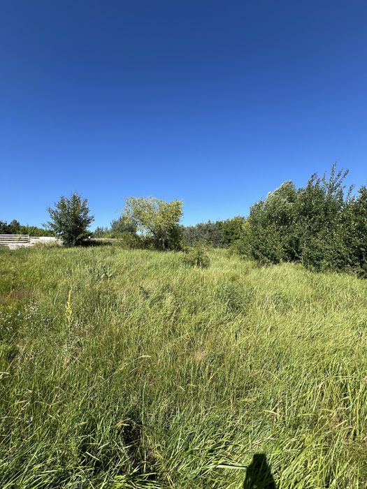 С. Левків продам земельну ділянку під будівництво