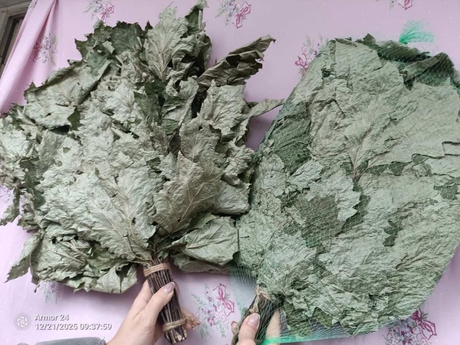 Дубовый веник для бани новый