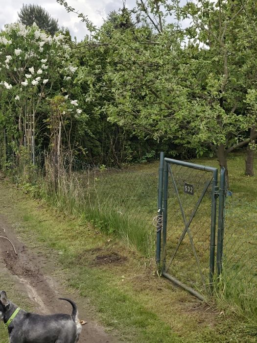 Działka rekreacyjna ROD Żwirki i Wigury II Poznań Wola