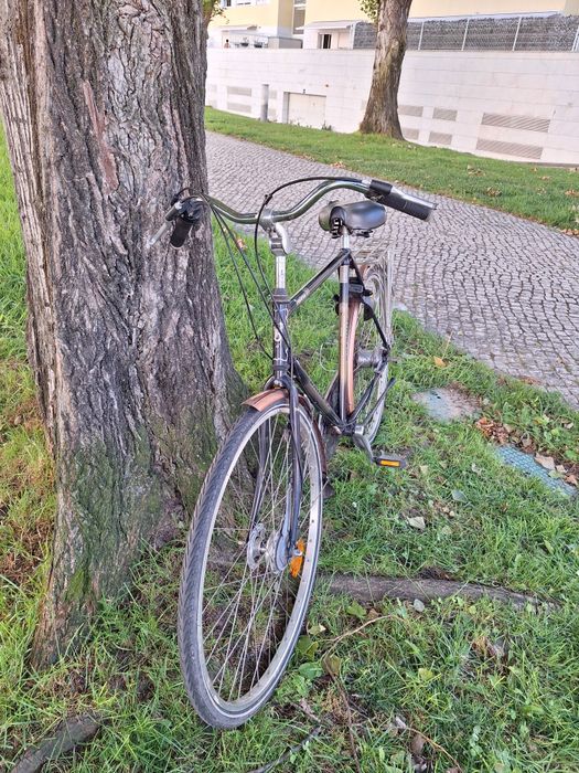 Bicicleta batavus classica