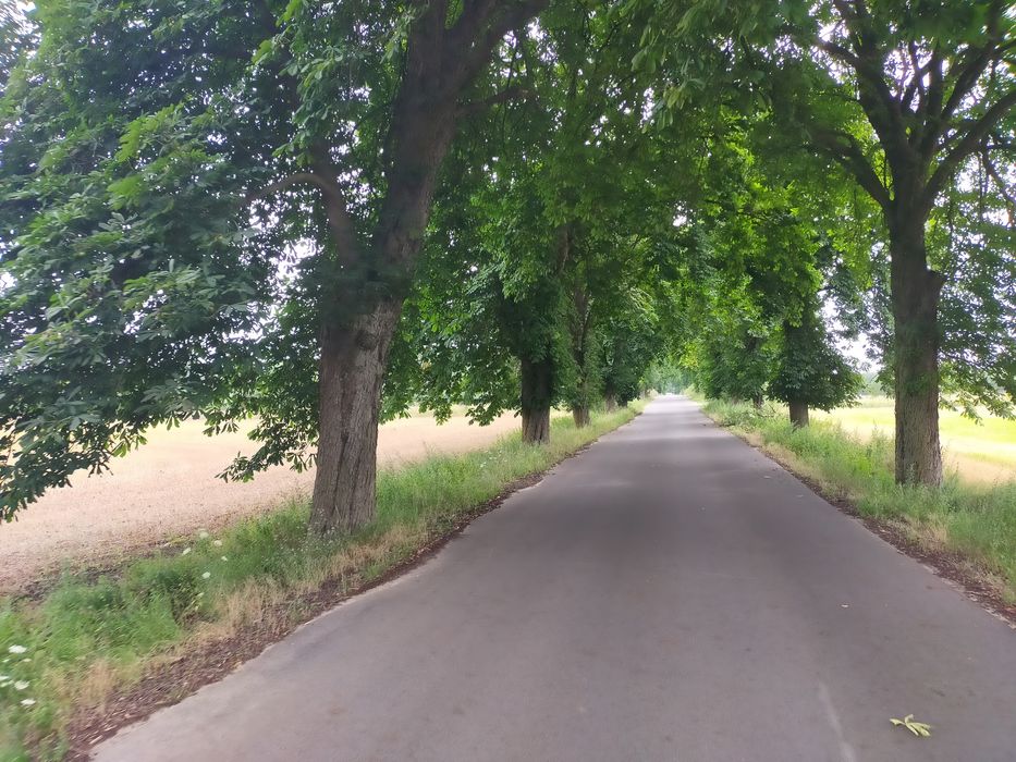 Działka budowlana 1500m²