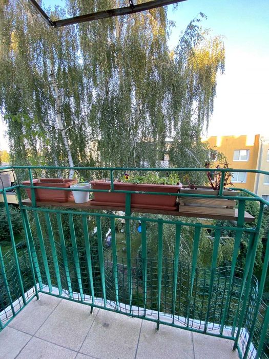 wynajmę mieszkanie 1 pokojowe 38m- Bielany