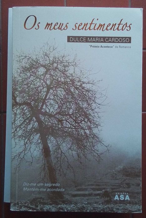 "Os Meus Sentimentos", de Dulce Maria Cardoso