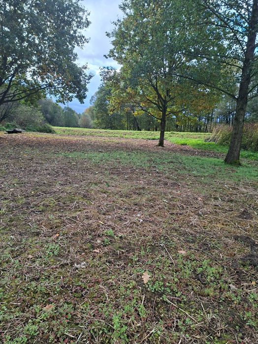 Tania piekna dzialka pod lasem kęty