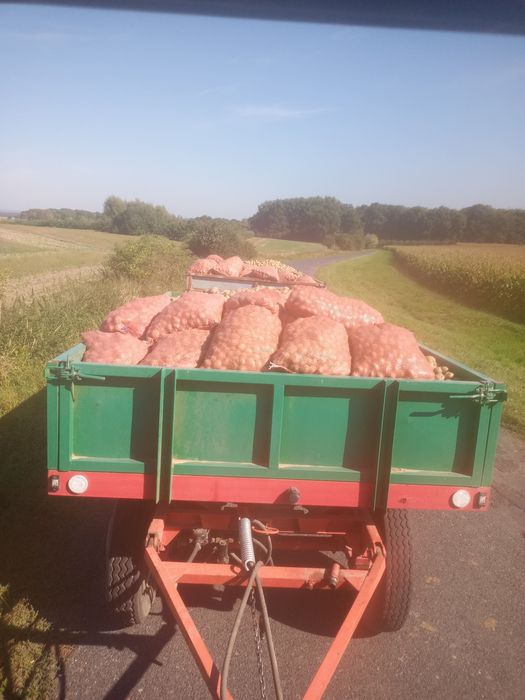 Sprzedam ziemniaki paszowe karma dla bydla na bimber tani transport