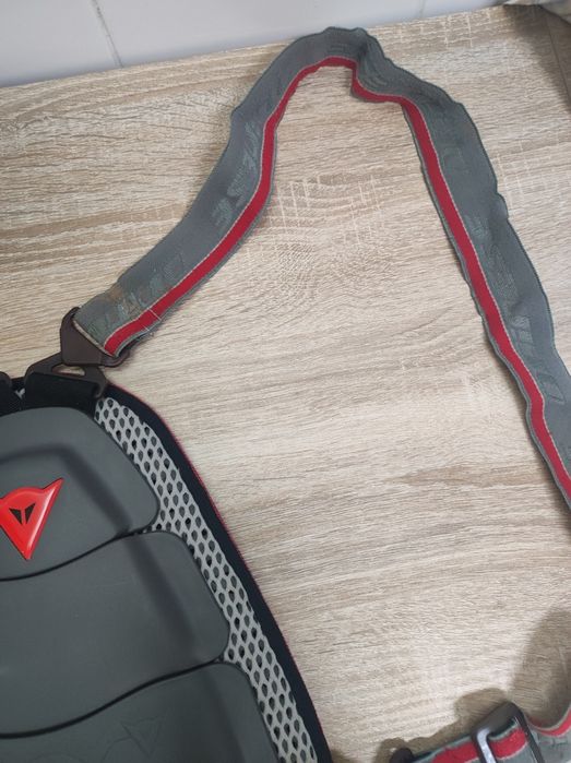 Dorsal/ lombar Dainese