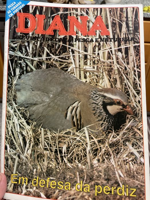 Revistas Caça e Pesca DIANA (38 revistas)