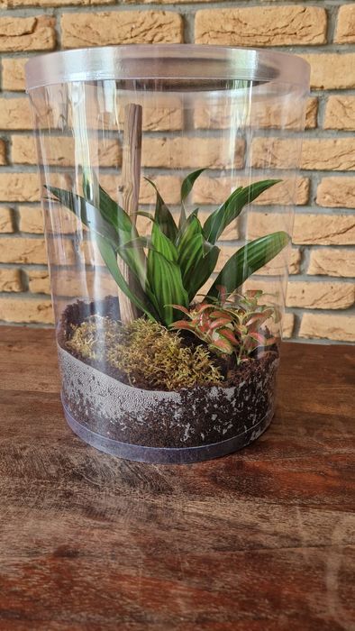Terrarium - tuba hodowlana z wentylacją - solidna, bezpieczna