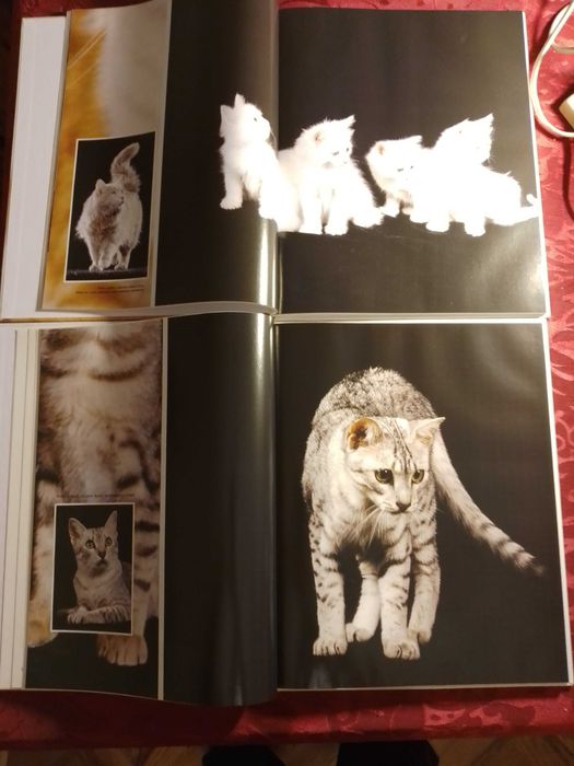 Cantigas d'escarnio e mal dizer-P.R.Lapa2e-Galaxia-75E-Regra5EDesde5E