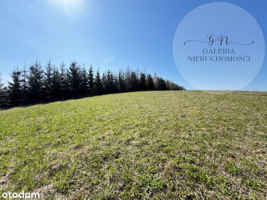 Wilimy działka na sprzedaż 3200m2 jezioro Dadaj/wz